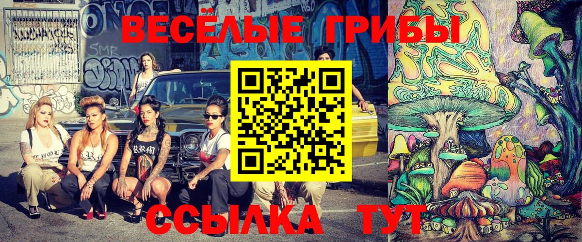 НБОМе  Вход с VPN  МЕФ  ГАШИШ  Марихуана  Наркошоп  Шадринск  Меф МЯУ МЯУ кристаллы 