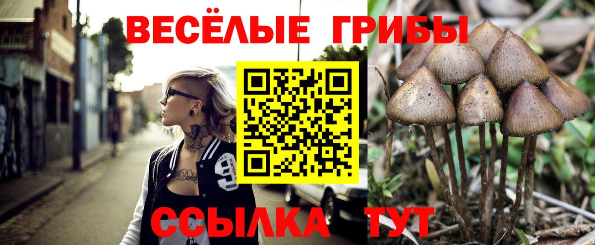 Шадринск  Псилоцибиновые грибы прущие грибы  как найти закладки  Вход с VPN 